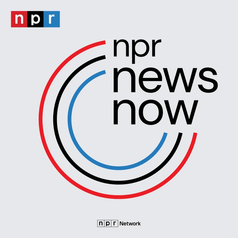 npr news now