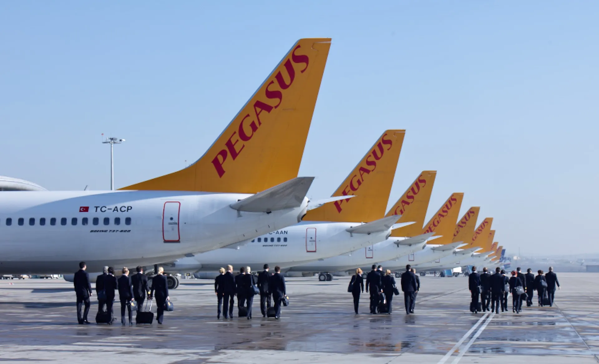Pegasus Airlines campaign